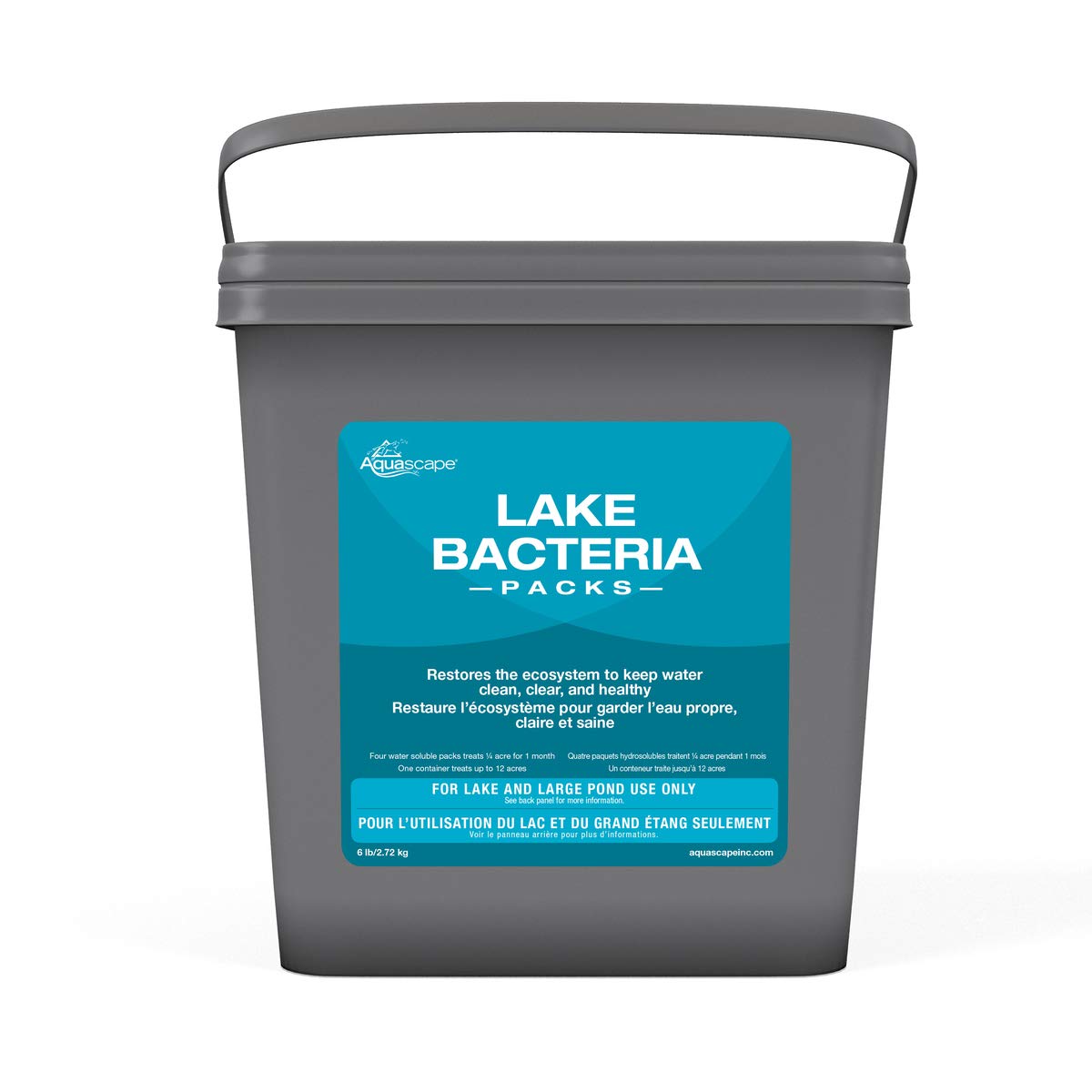 Lake and Large Pond Treatments